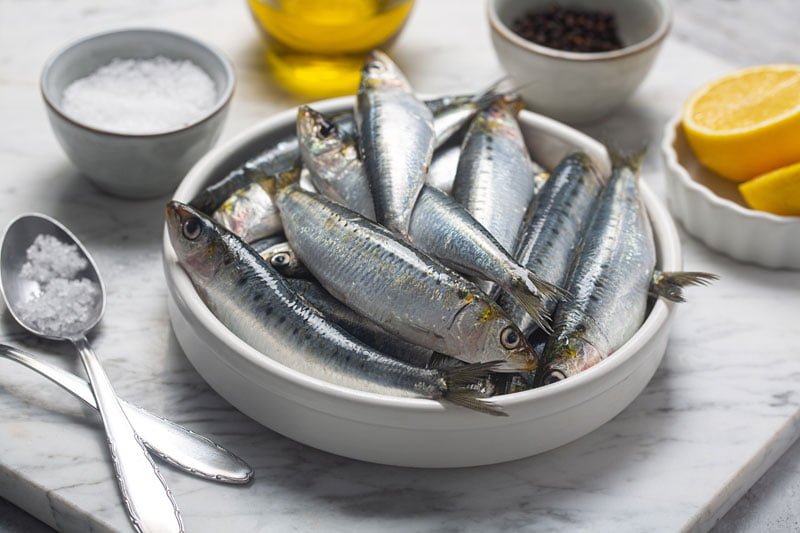 Informations nutritionnelles utiles sur la sardine