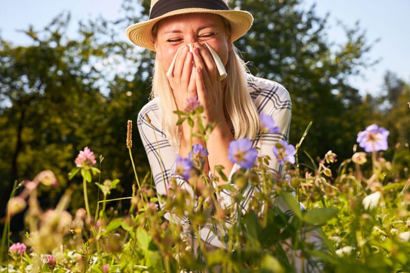 Allergies estivales : comment les gérer ?